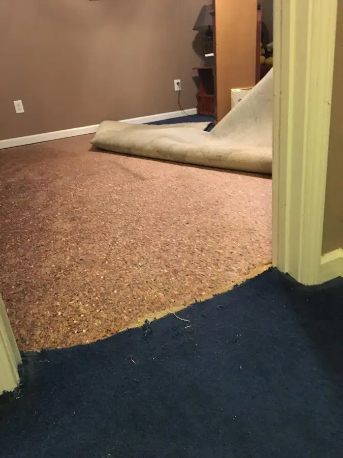 Carpet pad removal revealing water damage during Water Mitigation Services in Bay Point